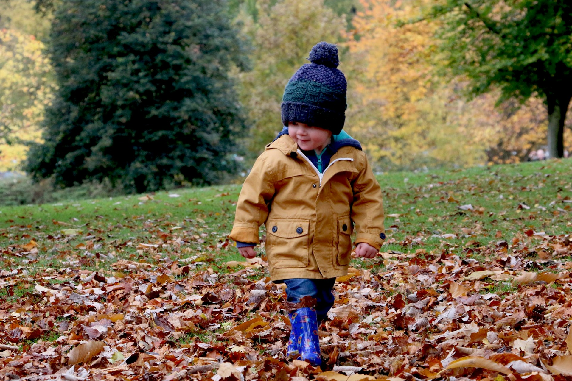 Child playing in autumn leaves before cleanup