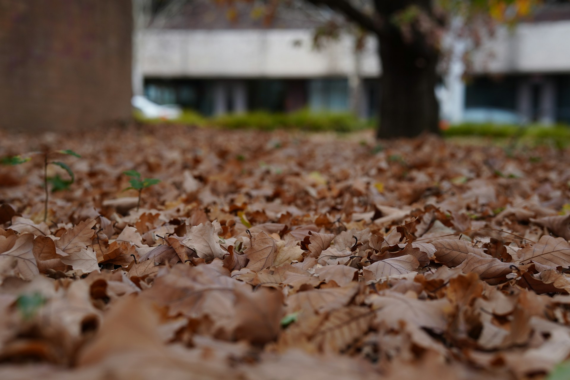 Recycling & Composting